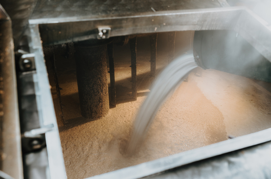 Malted Grain